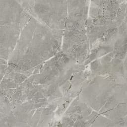 Platinum Dove Rectangle 12X24 Matte - zg1zbjeofhf5ktl16uln@2x.jpg