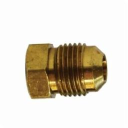 Plug, 1/4 in, Flare, Brass, Rough Brass - zhkauxm9l6du4b8ftjlr@2x.jpg