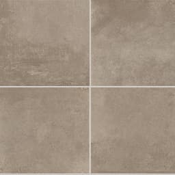 Emergent Pewter Rectangle 24X48 Polished - zhmjzsl3bezuhxwbwtd5@2x.jpg