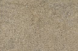 Santa Cecilia - zibvdus1oea3ykv4bgra@2x.jpg