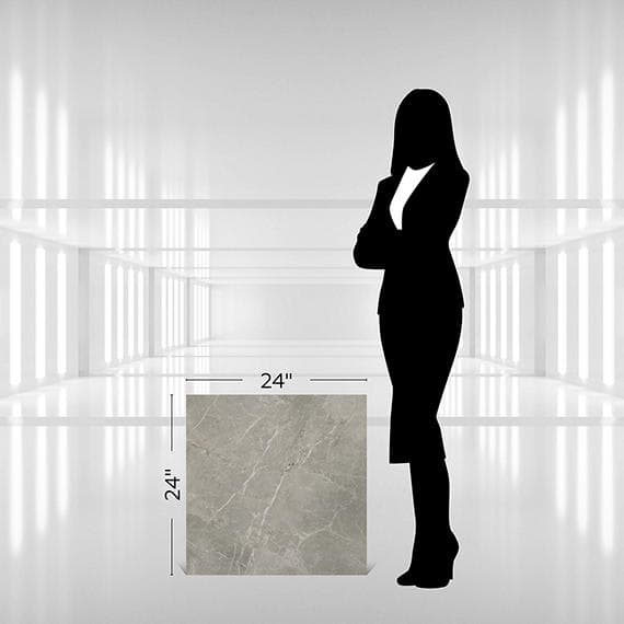 Platinum Dove Rectangle 12X24 Matte - zis5gluxw43fvmrpxttg@2x.jpg