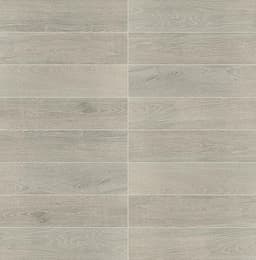 Platinum Light Gray Plank 6X24 Matte - zj99jgffwyshgtlxfz5u@2x.jpg