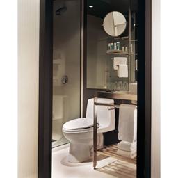 UltraMax One Piece Elongated 1.6 GPF Toilet with G-Max Flush System - SoftClose Seat Included - zjsp4ej2cajujlqf9eki@2x.jpg