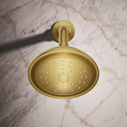 Artifacts 2.5 GPM Single Function Shower Head with Katalyst Air-Induction Technology - znjdiht1j7hutbizvi4a@2x.jpg