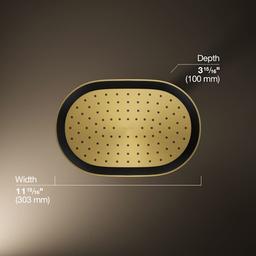 Statement Oblong 12" Single Function 1.75 GPM Rainhead with MasterClean Sprayface and Katalyst Air-Induction Technology - zoxpszfpggwr85imonsa@2x.jpg
