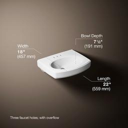 Pinoir 18" Wall Mounted Bathroom Sink with 3 Holes Drilled and Overflow - zpml3gqos0idm06skx2q@2x.jpg