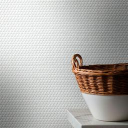 White Glossy Penny Round Mosaic - zq0zpmgije2hk3bizwmb_x500.jpg