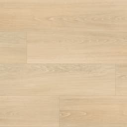 Placero Oak - zqg7ezg2ai2x4meopmg6@2x.jpg