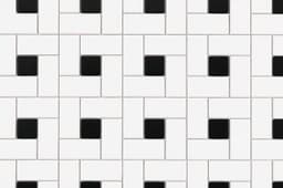 Pinwheel White and Black - zqnx7lle0re76twrcji3@2x.jpg