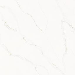 Calacatta Alabaster - zqo3y82gawmkca1ace7j@2x.jpg