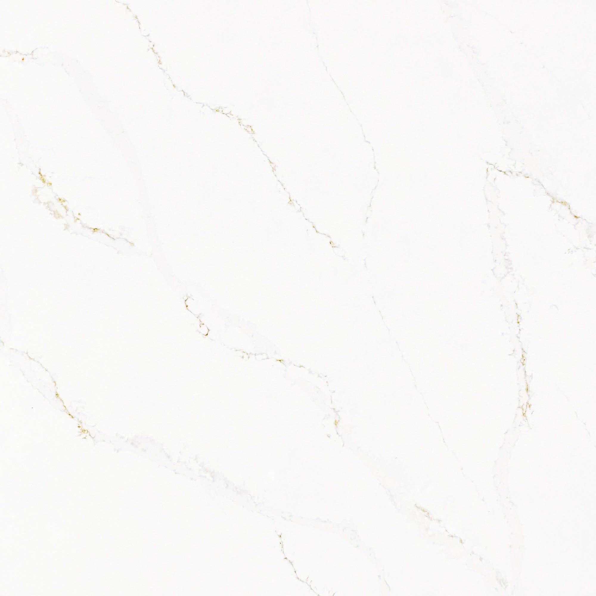 Calacatta Alabaster - zqo3y82gawmkca1ace7j@2x.jpg