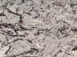 Delicatus White Granite - zr8ur51onytzrgbv5ybk@2x.jpg
