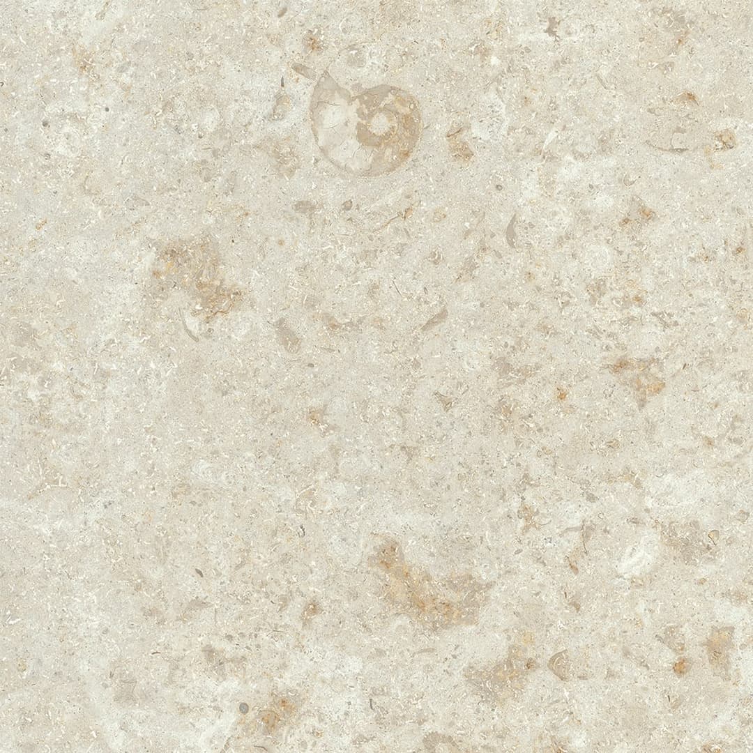 Uniche Beige Chiaro Square 24X24 Matte - zsunsevzqvt9q5c79aoj@2x.jpg