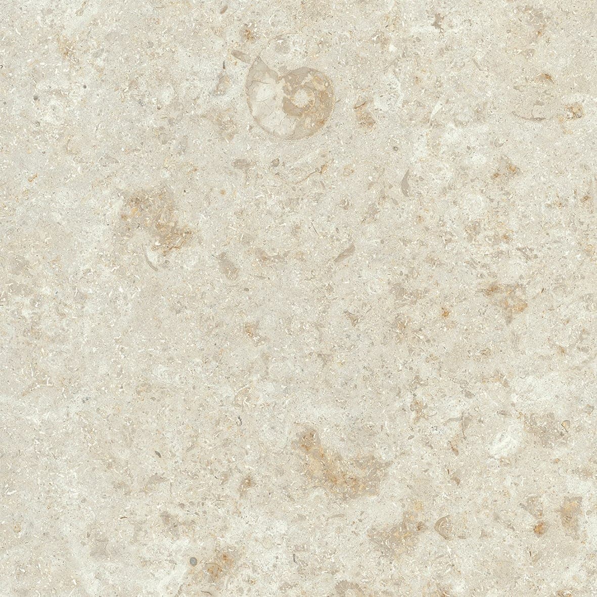 Uniche Beige Chiaro Square 24X24 Matte - zsunsevzqvt9q5c79aoj@2x.jpg
