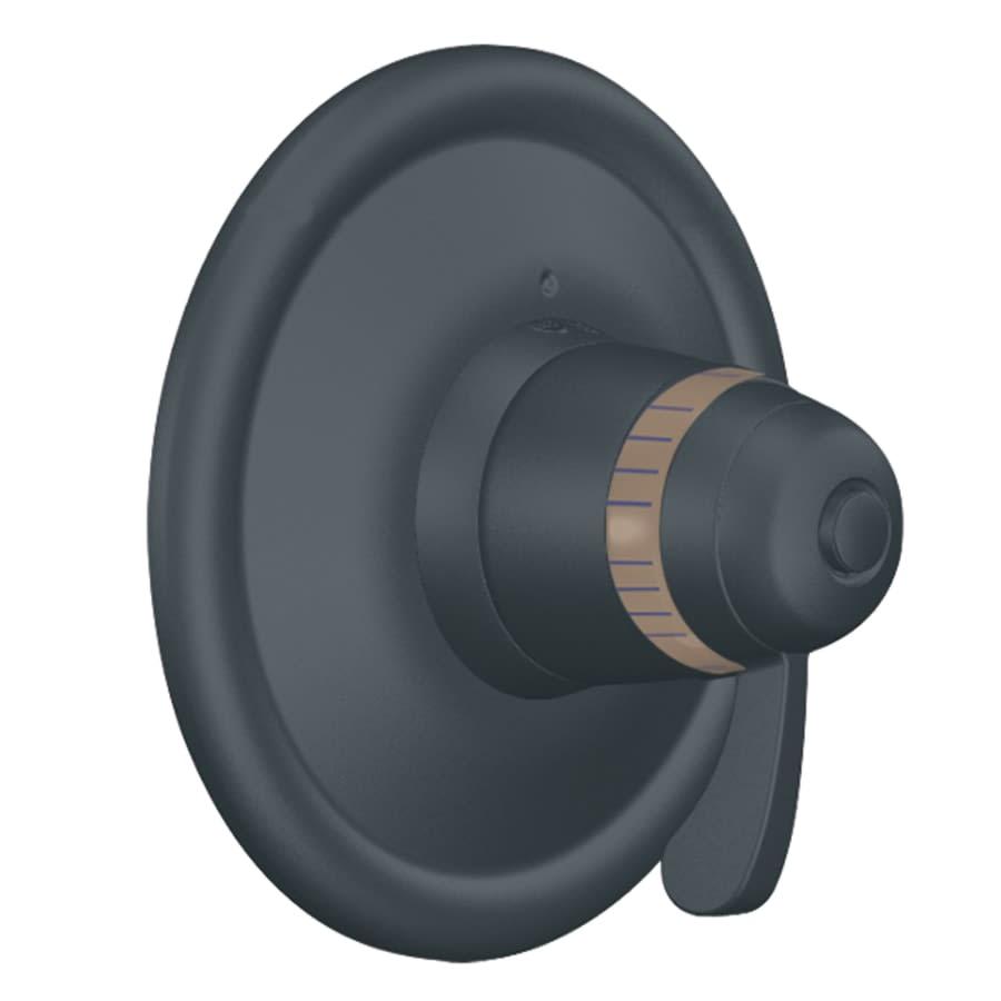 Single Handle ExactTemp Thermostatic Valve Trim Only from the ExactTemp Collection (Less Valve) - zt1ugyahlhumvucjddxd@2x.jpg