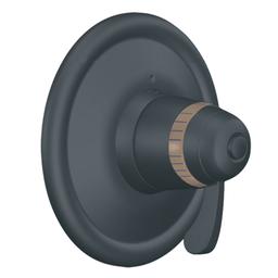 Single Handle ExactTemp Thermostatic Valve Trim Only from the ExactTemp Collection (Less Valve) - zt1ugyahlhumvucjddxd@2x.jpg