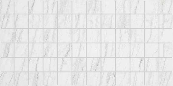 Platinum Oyster Rectangle 12X24 Matte - ztbwjcgmvpyupny5xyvn@2x.jpg