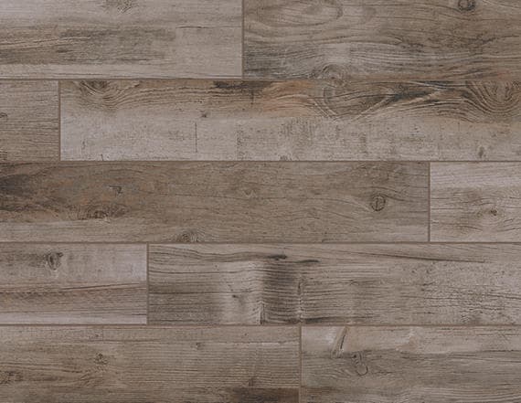 Bryson Valley Petrified Forest Plank 8X48 Matte