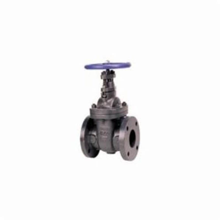 619 Non-Rising Stem Gate Valve, 3 in, Flange, Cast Iron - ztulfyxqkep0edvcys6q@2x.jpg