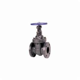 619 Non-Rising Stem Gate Valve, 3 in, Flange, Cast Iron - ztulfyxqkep0edvcys6q@2x.jpg