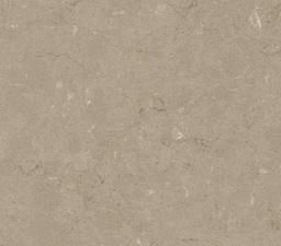 Coral Clay Color - ztum3odppfyiliwnygzi_x500.jpg