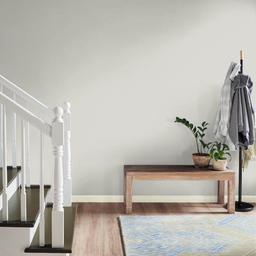 5 gal. Ultra Pure White Extra Durable Flat Interior Paint & Primer - zxfr1xylwfaqjfpdxhoi@2x.jpg