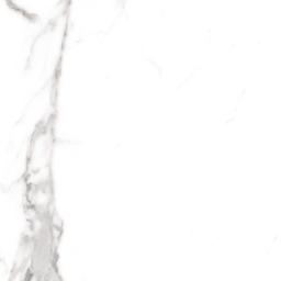 dbxjbb2gxcemcamtez71.jpg