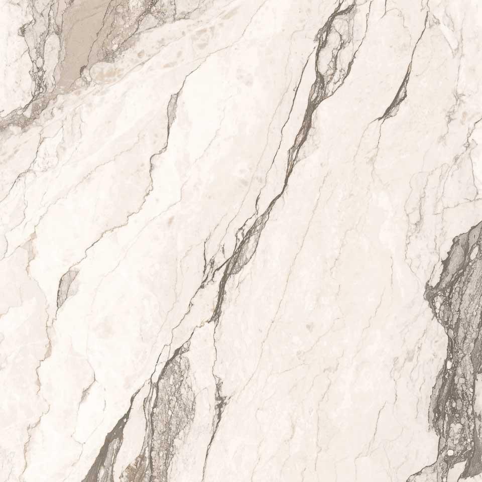 Omnia Camouflage