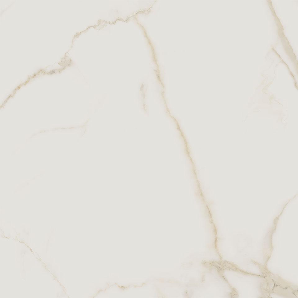 n63pidcgbedmytsausjf.jpg