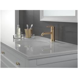 Trinsic 1.2 GPM Single Hole Bathroom Faucet with Metal Push Pop-Up Drain Assembly - Limited Lifetime Warranty - aa0lnlshaagteu3pfb90_8d6e2728-4f28-4e23-bb73-60d8f094c323@2x.jpg