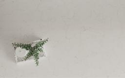 Carrara Ambra - azn3hojlitvnd6u3uiuq@2x.jpg