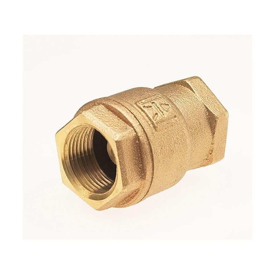 Ultra Pure™ Spring Check Valve, 1-1/4 in, FNPT, Bronze