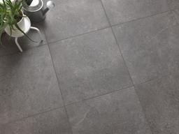 Ecoproject Silver - buzslrxthhki1v3vvcgw_03353e91-62f6-4b9e-a1da-3ff3de36d61e@2x.jpg