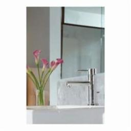 Align™ Single Hole or Centerset Lavatory Faucet, ADA, 1 Handle, 1 or 3-Hole, 1.2 gpm, Polished Chrome - cpphgzpdwguddxbxfbgy_108f7050-96d1-4a4f-8aef-78274f3fe4f5@2x.jpg