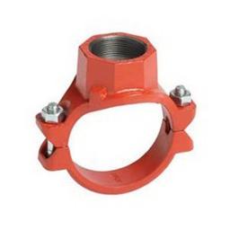 Mechanical Tee, 8 x 2 in, Groove x FNPT, Ductile Iron, Enamel Painted - cugsabmzkmgrvgw93cdi_04bac2ce-1df7-4028-b3cd-6c97fa4b5528@2x.jpg
