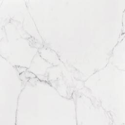 LM CARRARA MT 48X48 R - d1a24m5c3yqoex231bmx_c1157d5a-4404-4b83-bacb-ec38192b42d2@2x.jpg