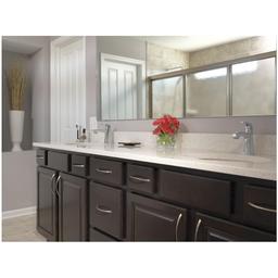 Ashlyn 1.2 GPM Single Hole Bathroom Faucet with Push Pop-Up Drain Assembly - delta-564-mpu-dst-alternate-image-66@2x.jpg