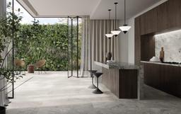 Karnis Silver - e7uix3azuxovtslii8ax_04a7a3a2-fb0f-4684-ae4d-c59dcd8fde62@2x.jpg