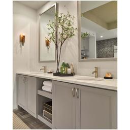 Trinsic 1.2 GPM Single Hole Bathroom Faucet with Metal Push Pop-Up Drain Assembly - Limited Lifetime Warranty - feihcjbmlucbcjstw7vb_ff1d34cf-fb87-461d-9b82-a79d78f79bf9@2x.jpg