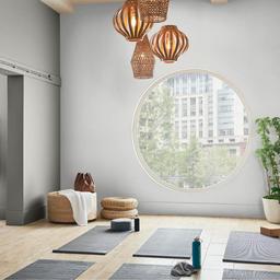 Behr Pro 5gal Toasty Gray Eggshell Interior Paint - fi0fmlouhjz8d44kihlx_c8283ecd-de6a-4983-8b0e-3edcfd6256ca@2x.jpg