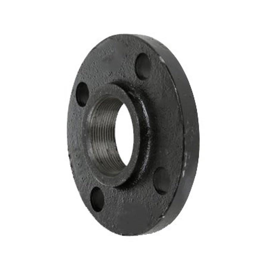 Companion Flange, 3 x 2-1/2 in, FNPT, 7-1/2 in OD, Malleable Iron, Black