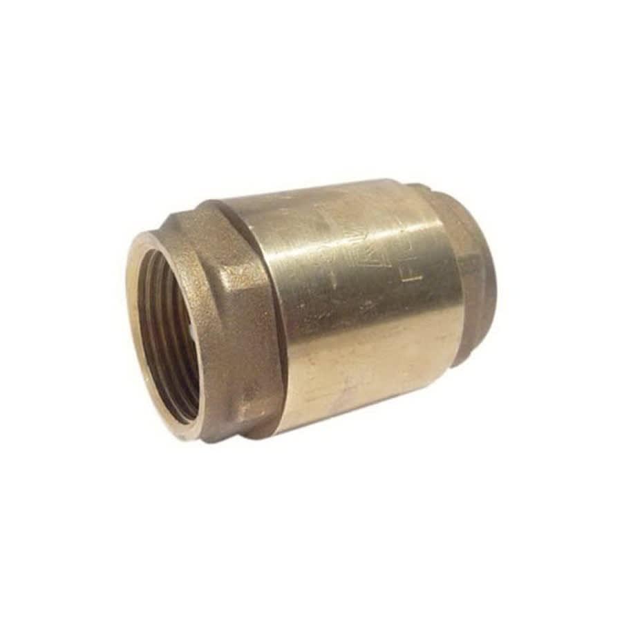 Spring Check Valve, 1 in, FNPT, Brass