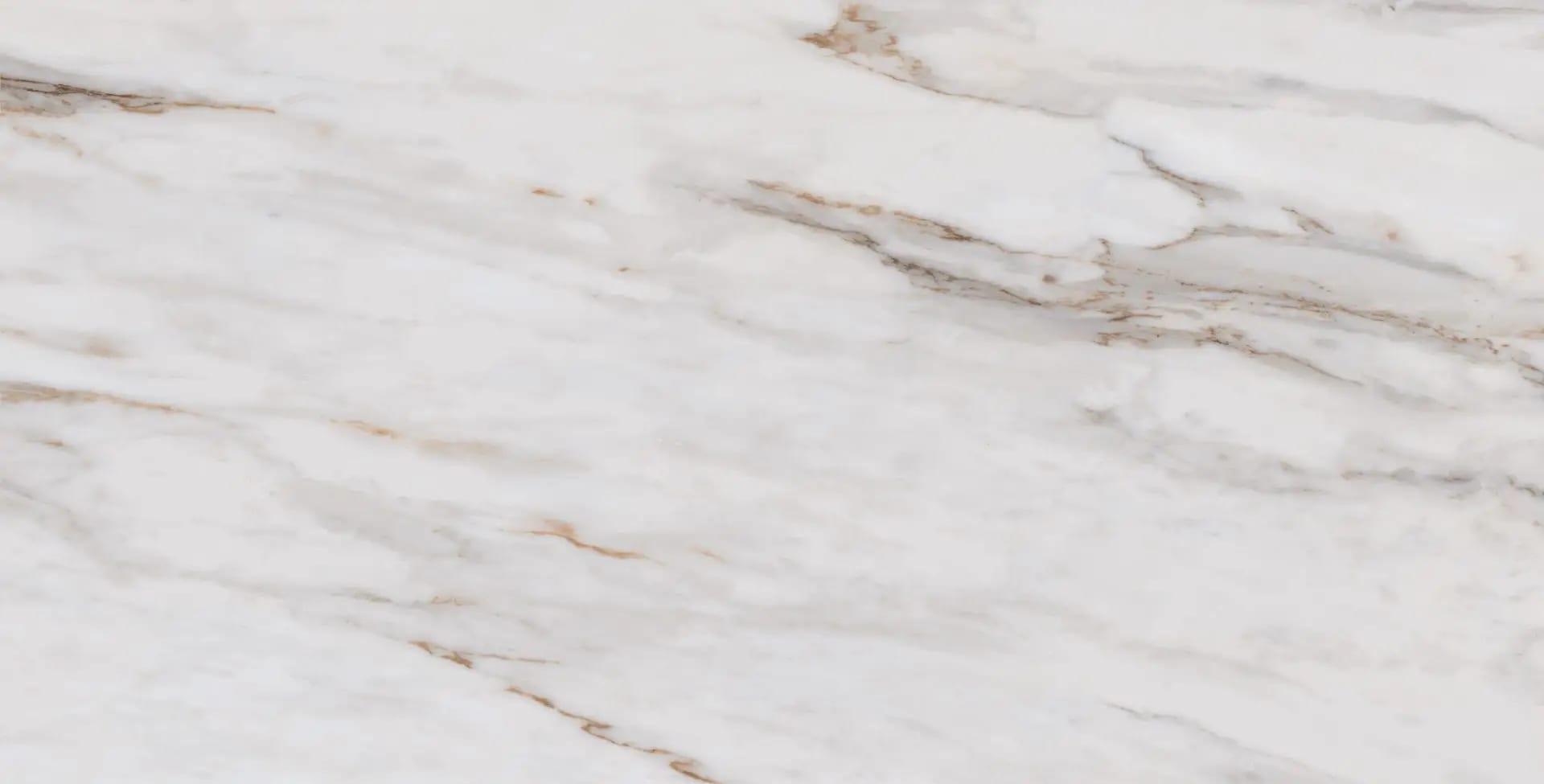 CALACATA GOLD PO 24x48 R