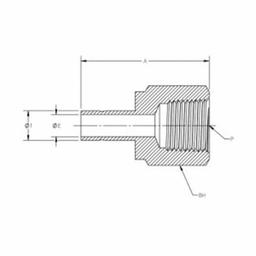 Female Adapter, 1/2 in, Tube x FNPT, 316/316L Stainless Steel - lsltexzkcpswwgsvhih3_e214b6b0-1fe8-4cf8-ae16-b695f3fafaa1@2x.jpg