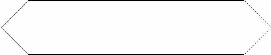 BLOCK ARROW BLANCO MATTE 2X10