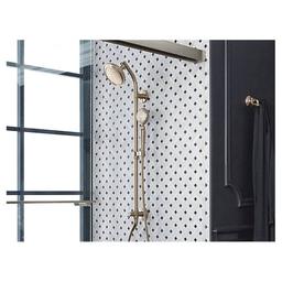 Artifacts® Hand Shower Head, 1.75 gpm, Vibrant Polished Nickel - nc6qjvzvqhs928vbzkhn_8e2a0ff3-9e7f-4020-a486-6d0792cc5cb0@2x.jpg