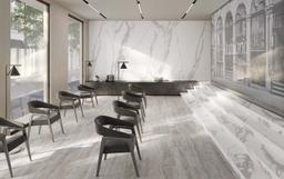 Omnia Statuario - oytpwpylvljn65vxsqsc_dc491a15-26a2-457d-aa94-98bda4b458d7@2x.jpg