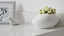 Snow - p3nsqjsetzcxmvjuotsd_866f0017-4aab-4807-b8c3-1c98965a2c73@2x.jpg