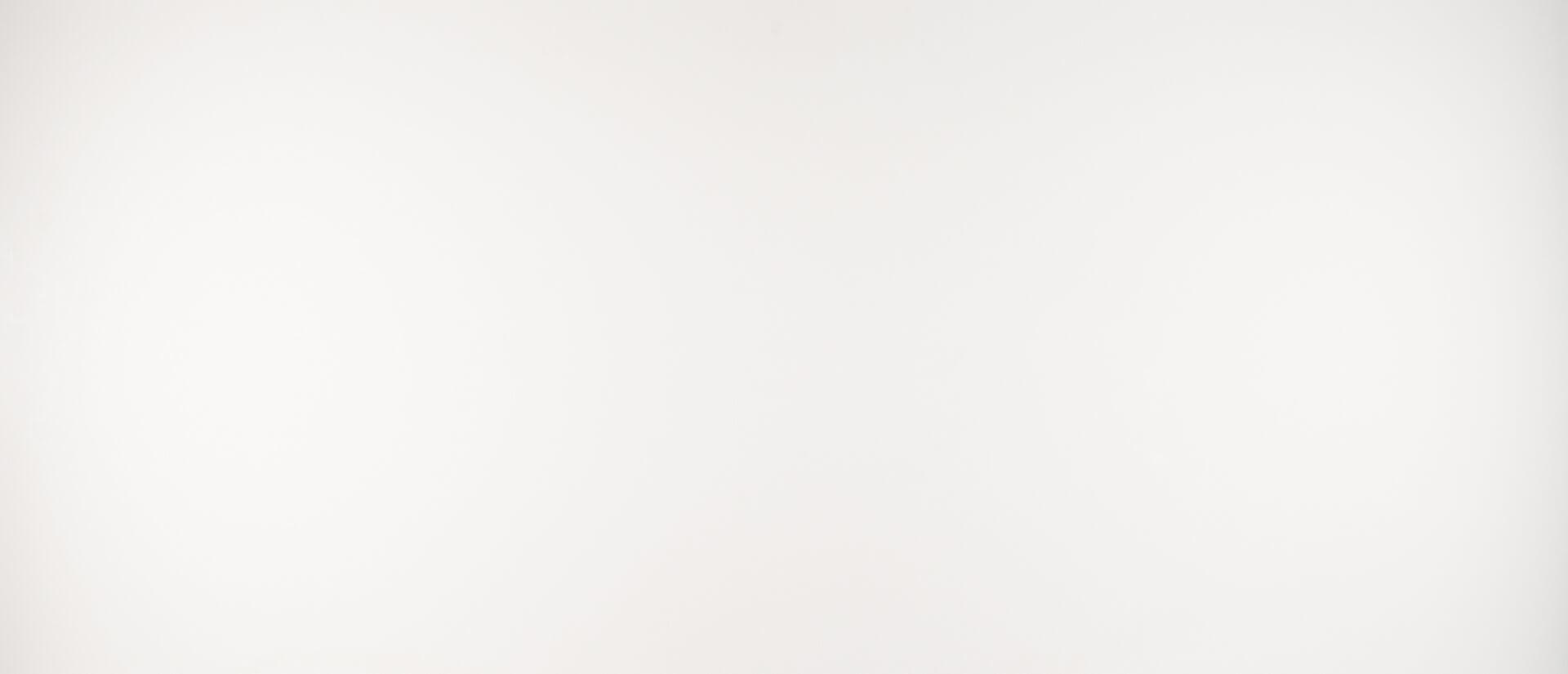 Arctic White