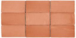 ST TROPEZ CORAL 2.5x5 - su6vz0llyduopul65wea@2x.jpg